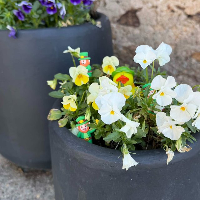 07afd591-0f01-42b4-9e75-7bab930d2ad6