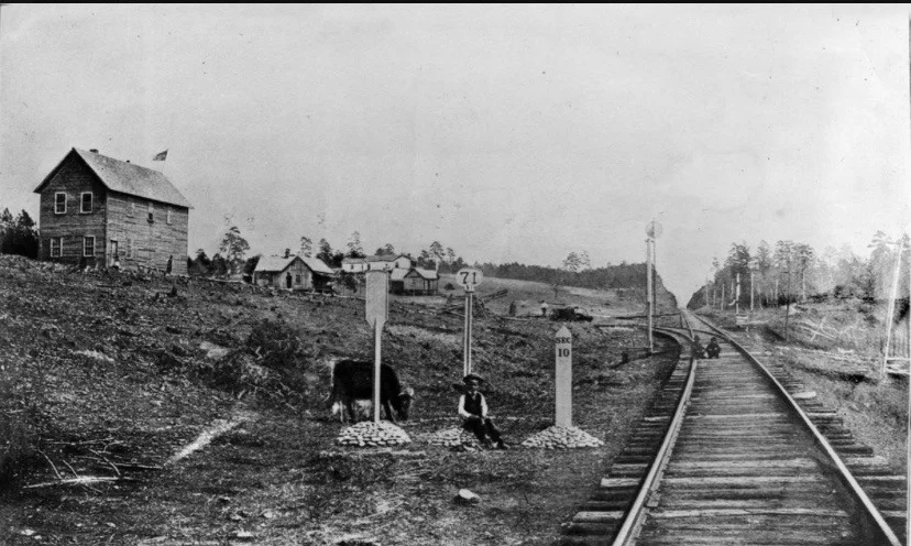 1894.jpg