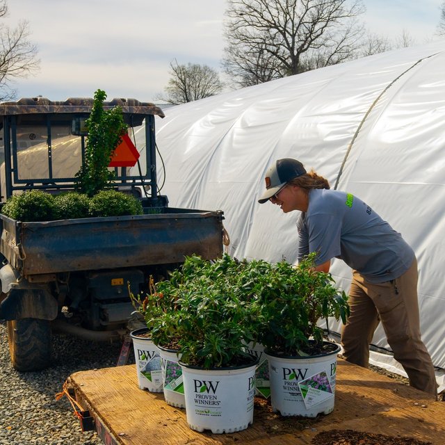 5b600156-1733-45c5-a04e-efbea13d6899