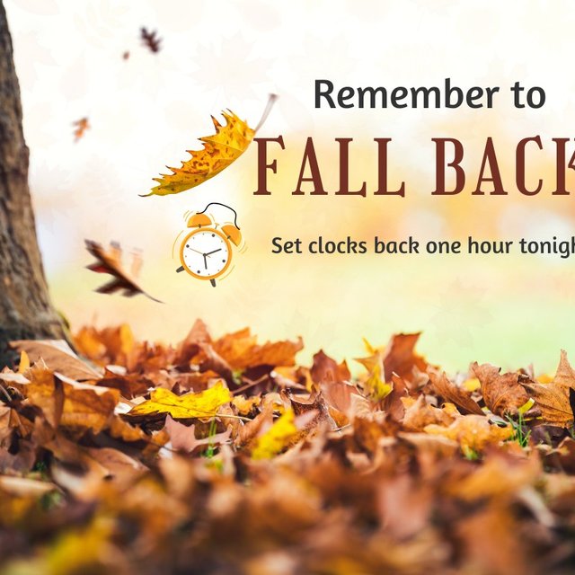 65b1fd5a-1e58-4ef3-b12c-d39c082f7306