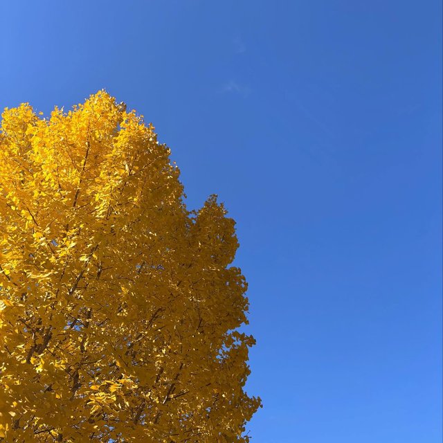 7986468d-6794-4e6d-b3c8-797048a3f952