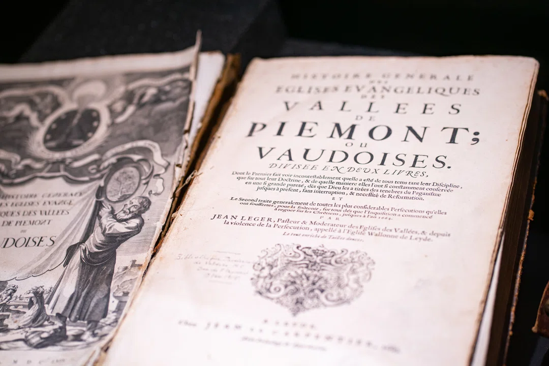 DSC04019 smaller.jpg