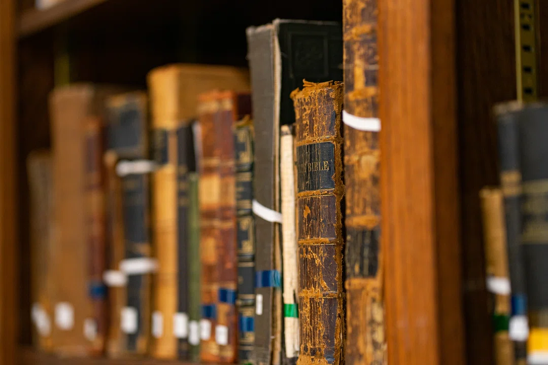 DSC04038 smaller.jpg