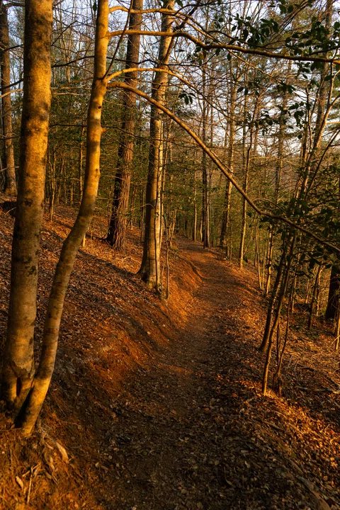 DSC07343 smaller.jpg