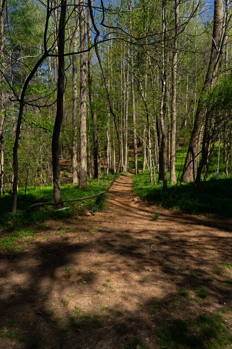 DSC07608 smaller.jpg