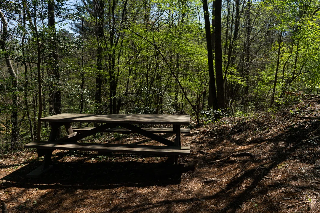 DSC07612 smaller.jpg