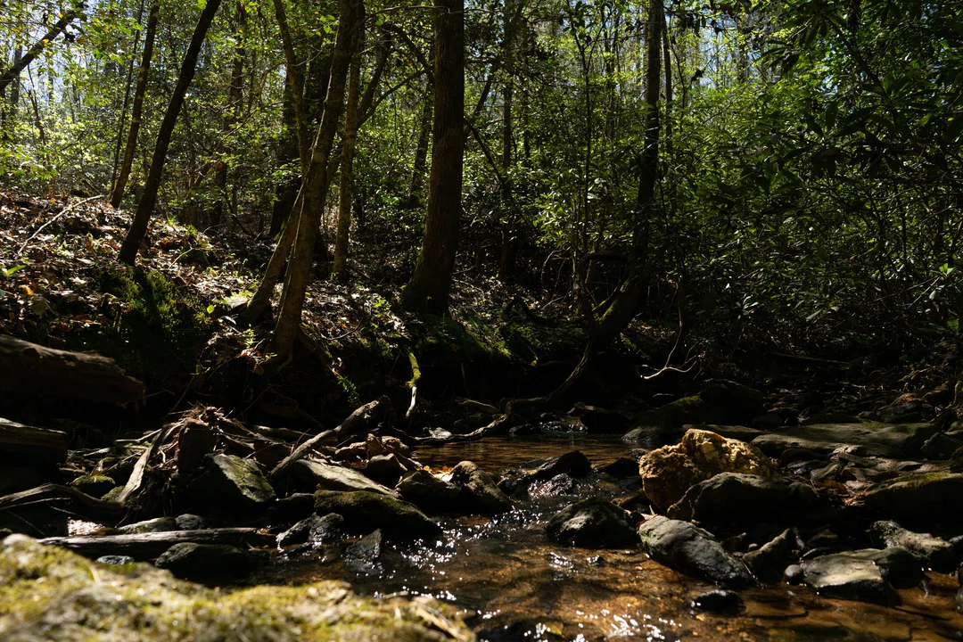 DSC07647 smaller.jpg