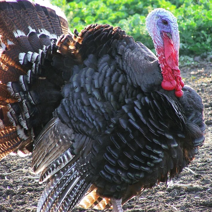 My Post - 2021-09-14T154816.051.png