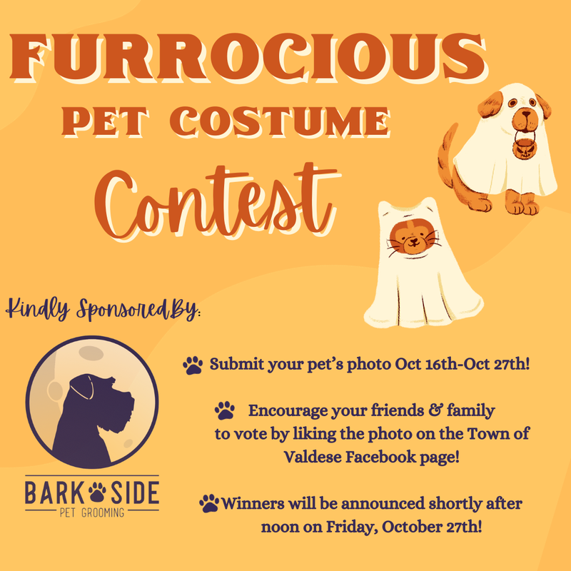 Doggie Costume Contest